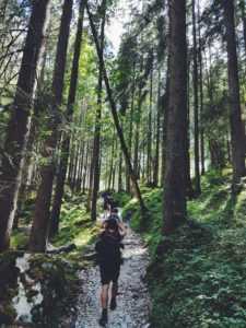 Guided Mindfulness Hike